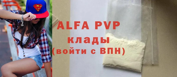 прущие грибы Белокуриха