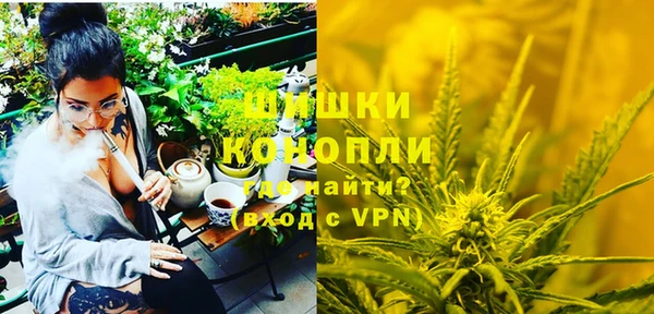 первитин Богданович
