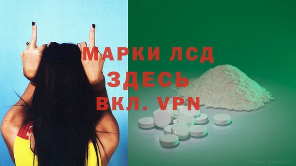 прущие грибы Богородицк