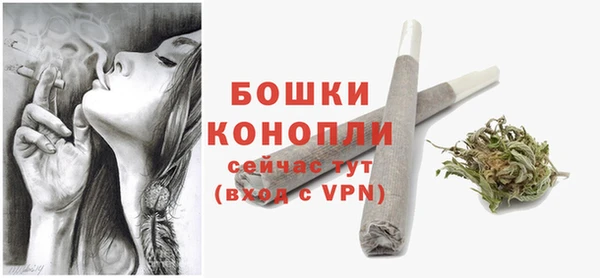 прущие грибы Богородицк