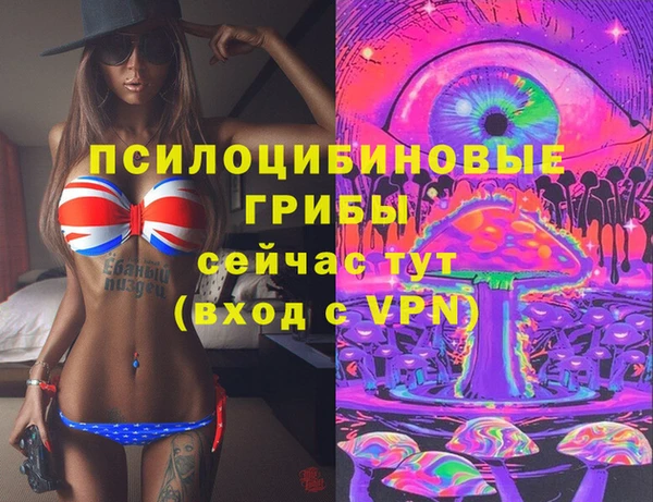 первитин Богданович