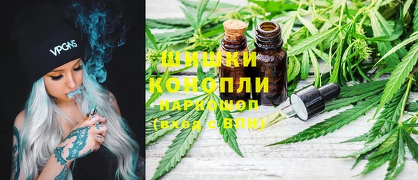 прущие грибы Богородицк