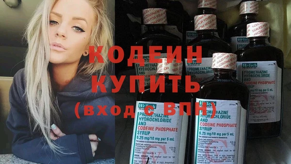 прущие грибы Богородицк