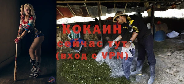 прущие грибы Богородицк
