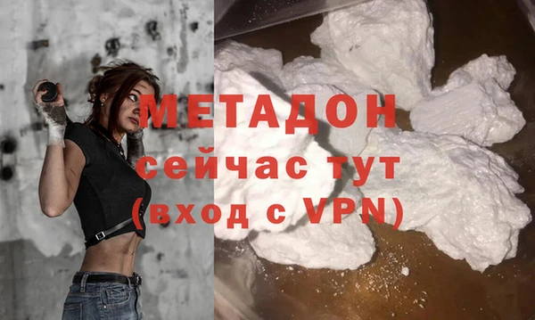 прущие грибы Богородицк