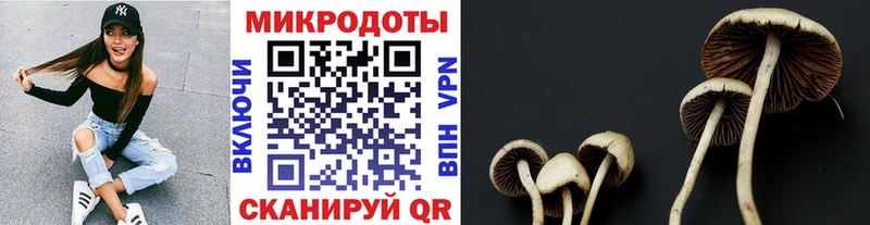где купить наркоту  Уссурийск  Псилоцибиновые грибы MAGIC MUSHROOMS 